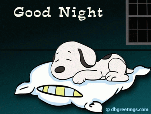 Good Night Gn GIF