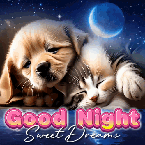 Good Night Good Night Friend GIF