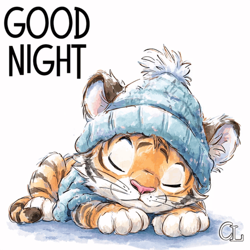 Good Night Goodnight GIF
