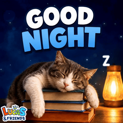 Good Night Goodnight GIF