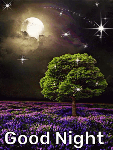 Good Night Greetings GIF