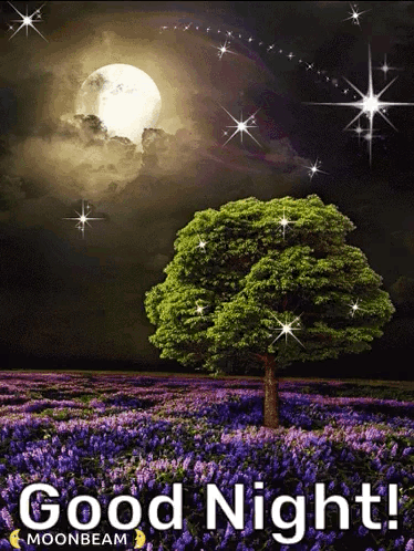 Good Night Greetings GIF