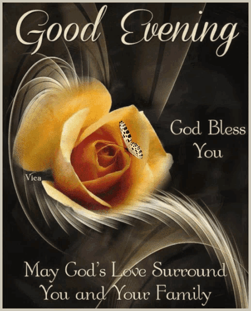 Good Night Images GIF