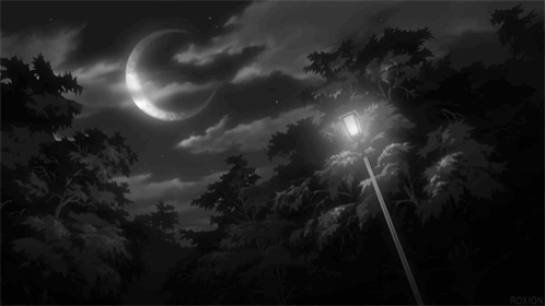 Good Night GIF
