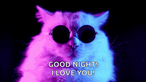 Good Night Meme
