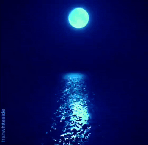 Good Night Moon GIF