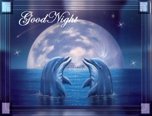 Good Night Moon GIF