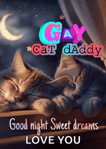 Good Night My Love Goodnight And I Love You GIF