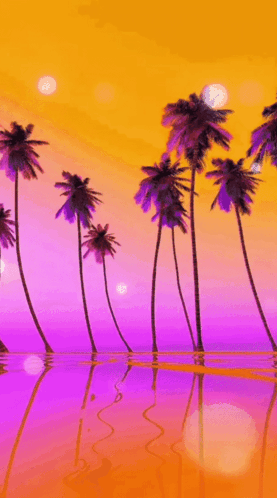 Good Night New Images GIF