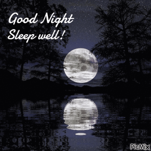 Good Night Night Night GIF