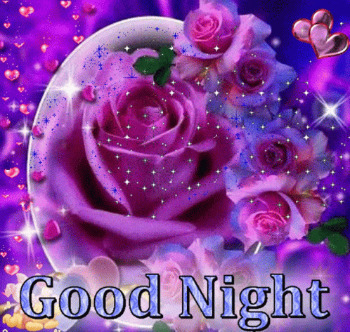 Good Night Rose GIF