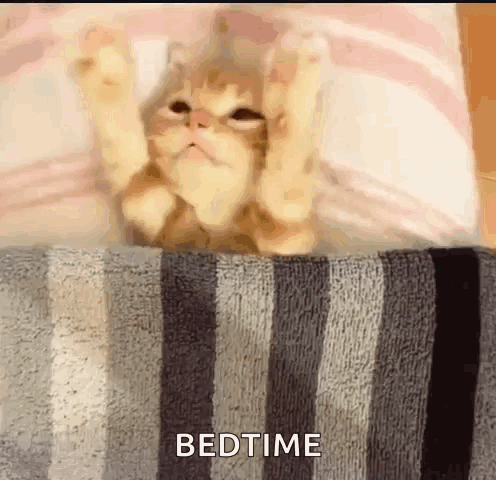 Good Night Siesta GIF