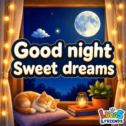 Good Night Sleep GIF