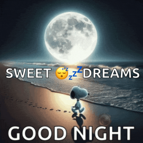 Good Night Snoopy Meme