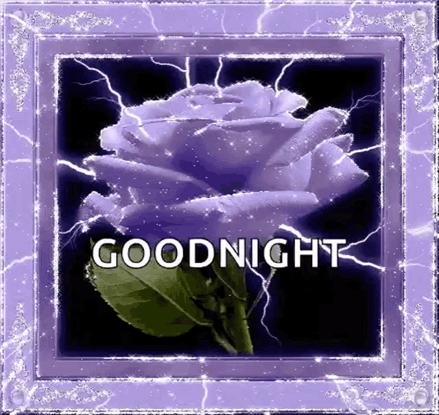 Good Night Sparkles GIF