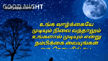 Good Night.Gif GIF