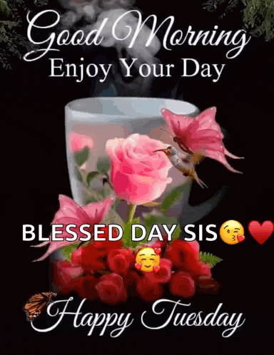 Good Tuesday Morning GIF