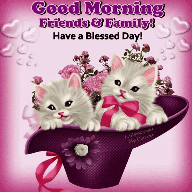 Goodmorming Meme
