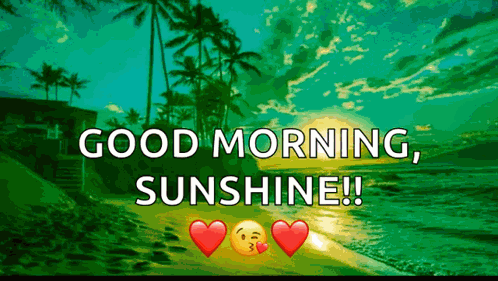 Goodmorning Beach GIF