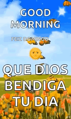 Goodmorning Butterflies GIF