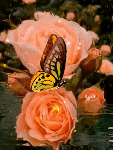 Goodmorning Flowers GIF