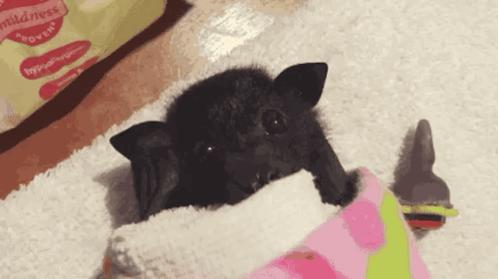 Goodmorning Goodmorningbat GIF
