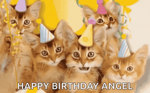 Goodmorning GIF