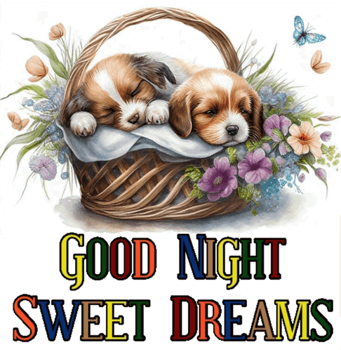 Goodnight Good Night GIF