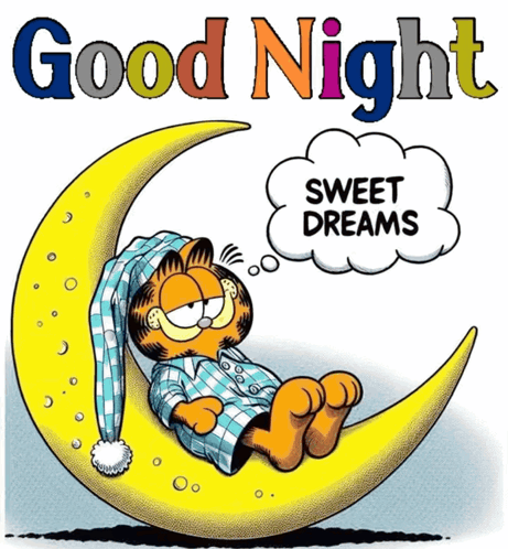 Goodnight Good Night GIF
