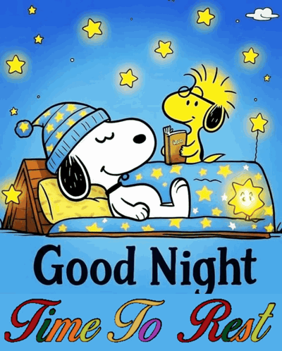 Goodnight Good Night GIF