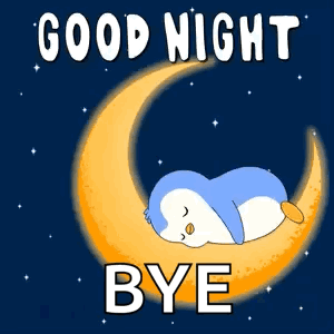 Goodnight Sleep GIF