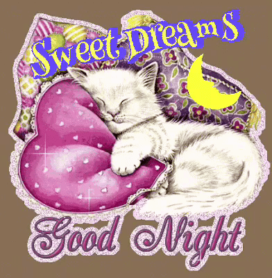 Goodnight Sweet Dreams Good Night GIF