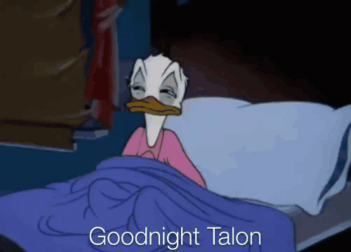 Goodnight Talon Donald Duck GIF