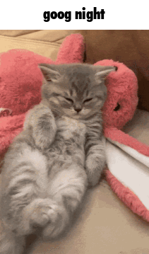 Goog Good Night GIF