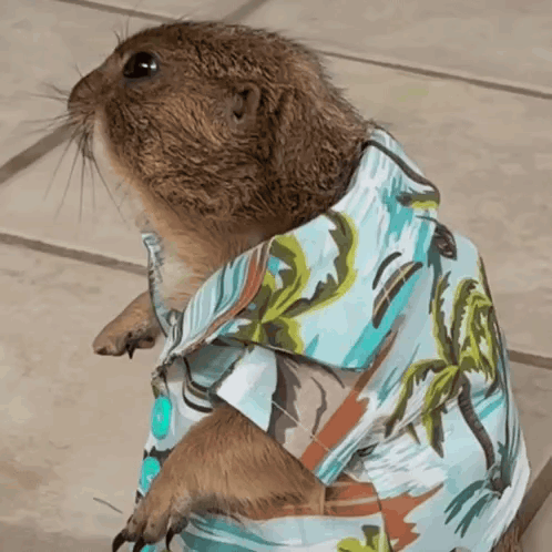 Gopher Hawaiian Shirt GIF