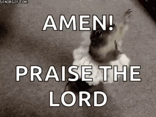 Gopher Sober GIF