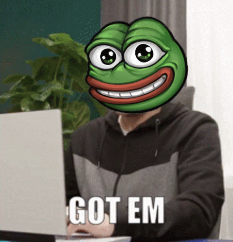 Got Em Wonderdaan GIF