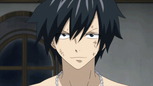 Gray Gray Fullbuster GIF