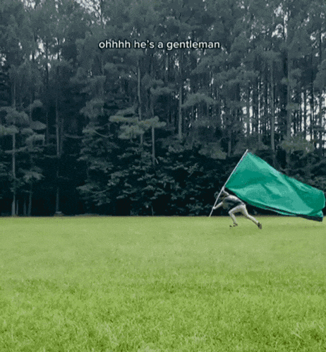 Green Flav GIF