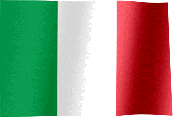 Green White GIF