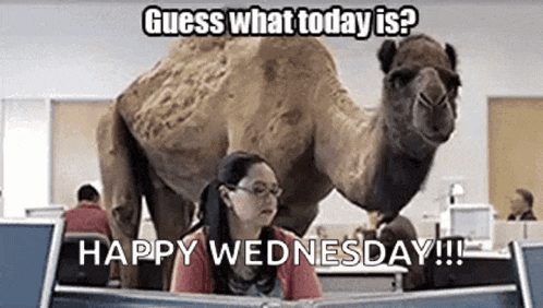 Grind Wednesday GIF