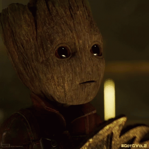 Groot I Am Groot GIF