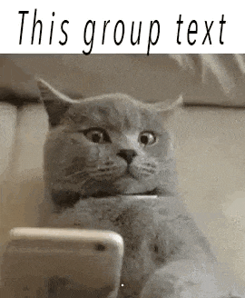 Group Text Cat GIF