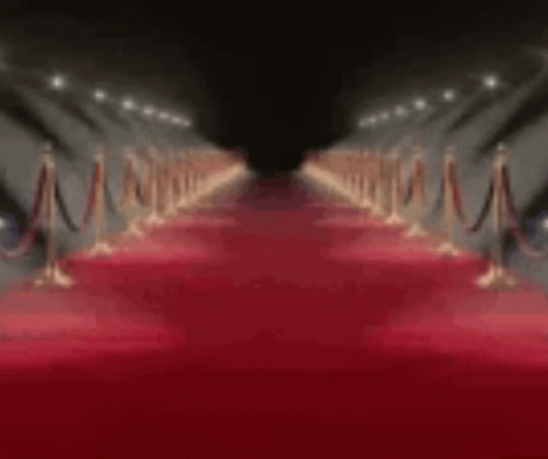 Gryis Red Carpet GIF