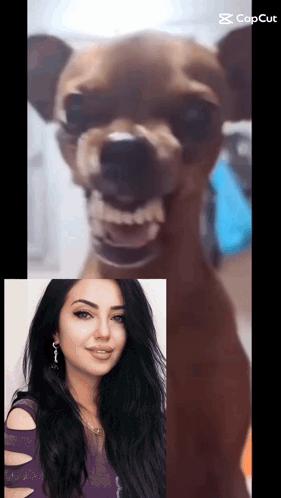 Gulay1616 GIF