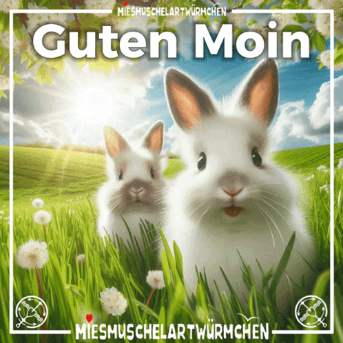 Guten Moin Moinsen GIF