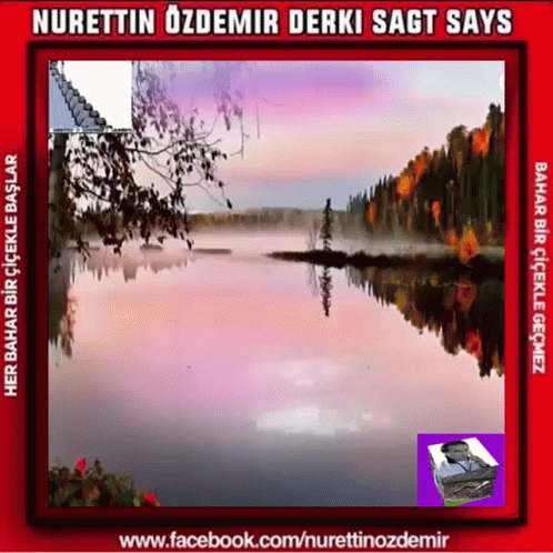 Guten Morgen Good Morning GIF