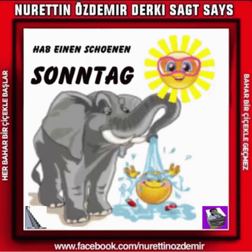 Guten Morgen Hab Einen Schönen Sonntag Elephant GIF