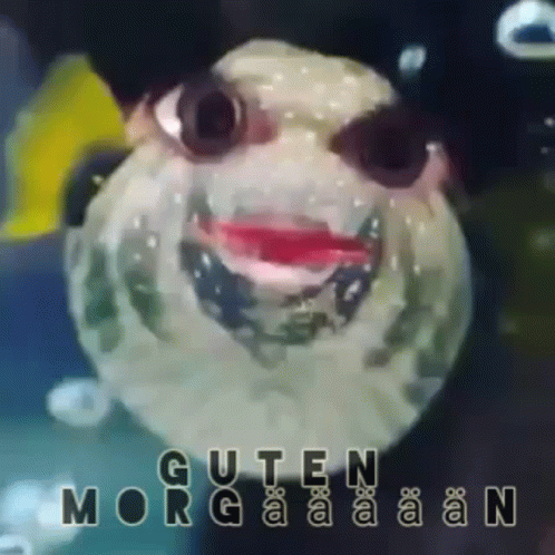 Guten Morgen GIF