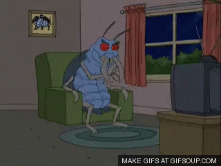 Guy GIF
